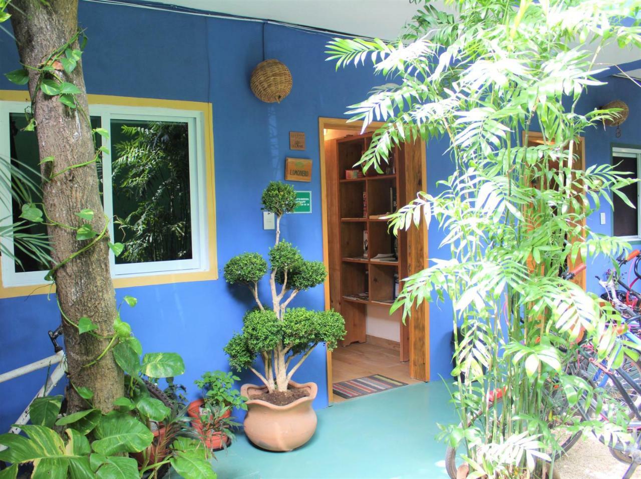 Casa Almendro Hotel Tulum Bagian luar foto